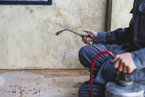 Reliable Brigham City, UT Pest Control Solutions
